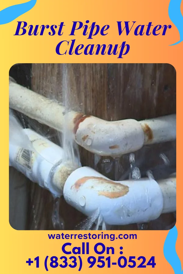 Burst Pipe Water Cleanup in Landfall, MN