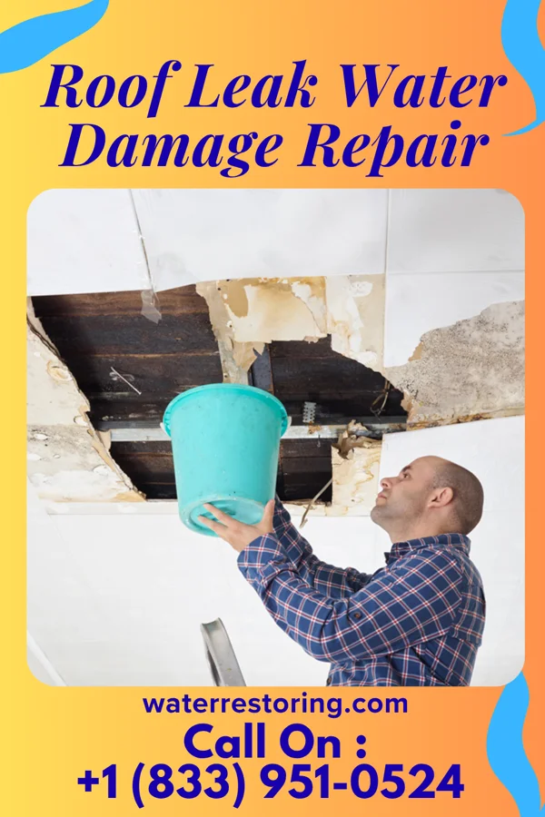 Roof Leak Water Damage Repair in Landfall, MN