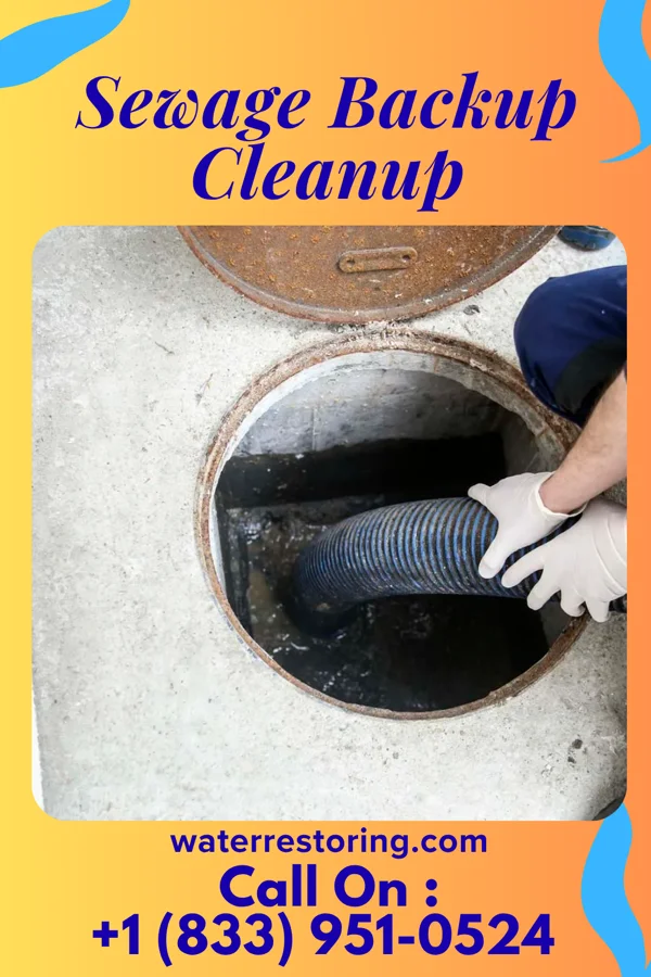 Sewage Backup Cleanup in Landfall, MN